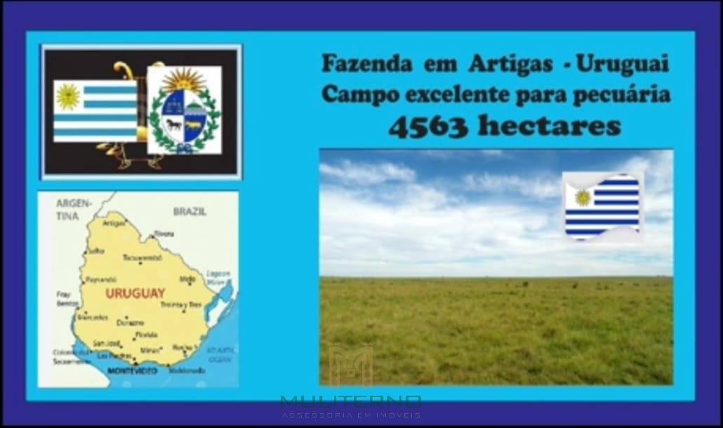 FAZENDA À VENDA NO URUGUAI - Muliterno Assessoria em Imóveis  44.427.652/0001-82